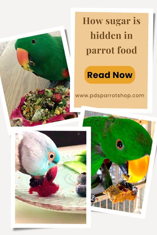 All about Sugar: the ways sugar is hidden in parrot food – PDS Parrot Shop