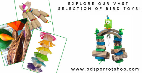 pds parrot shop ad