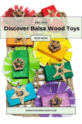 discover balsa bird toys
