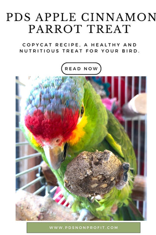 PDS_Parrot _treat_recipe