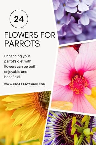 flowers for parrots