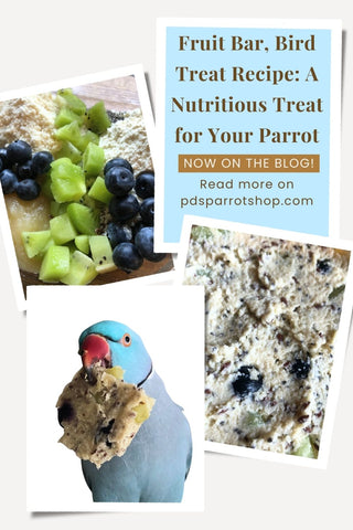 Fruit Bar, Bird Treat Recipe: A Nutritious Treat for Your Parrot