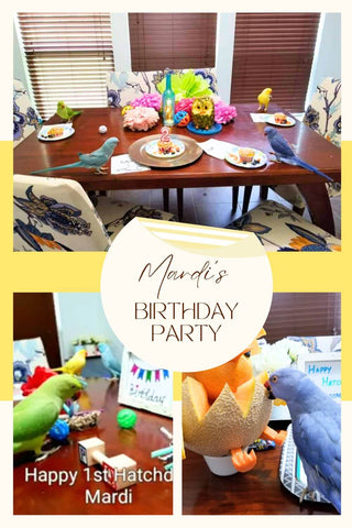 Bird Birthday Party