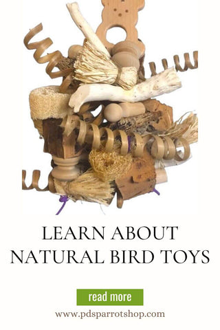 natural bird toys