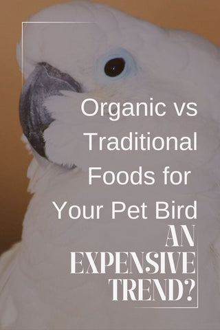 Organic vs Traditional Foods for Your Pet Bird: An Expensive Trend?