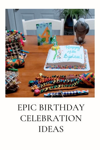 Epic birthday celebrations