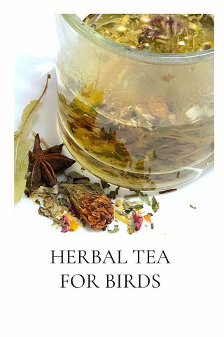 Herbal tea for birds