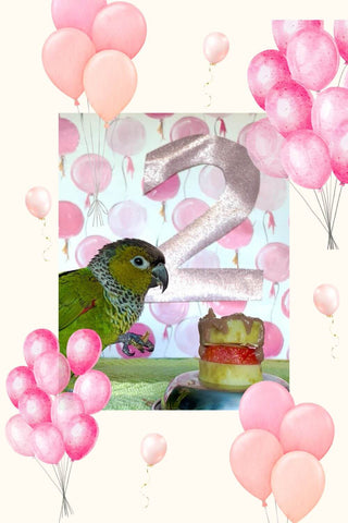 Happy Bird Hatchday