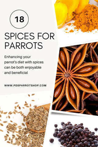 spices for parrots