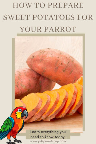 Sweet Potatoes for birds