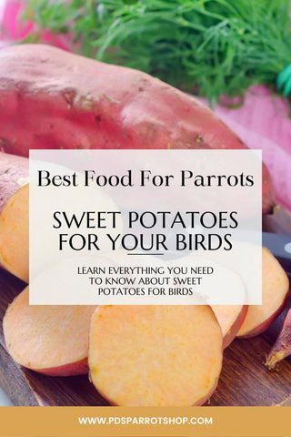 sweet potato for your birds