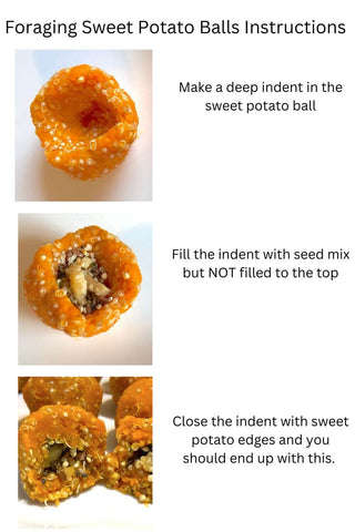 Foraging Sweet Potato Recipe