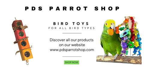 pds parrot toys