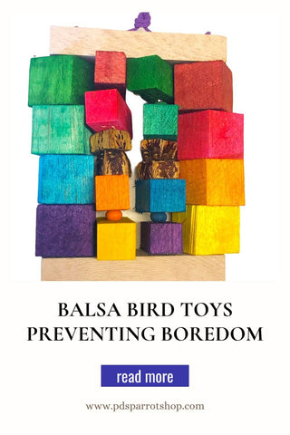 balsa bird toys preventing boredom