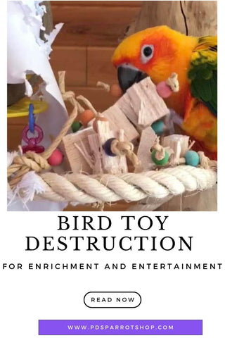 Bird toy Destruction