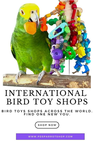 international bird toys shops