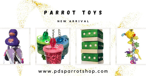 pds parrot shop