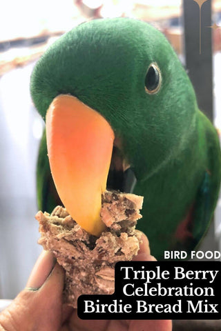 Triple Berry Celebration Birdie Bread: A Delightful Treat for your Parrot