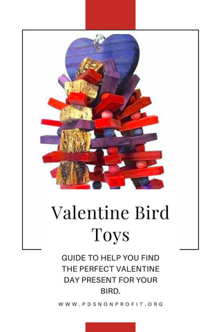 valentine bird toys guide