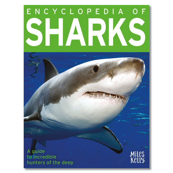 good titles for essays about sharks
