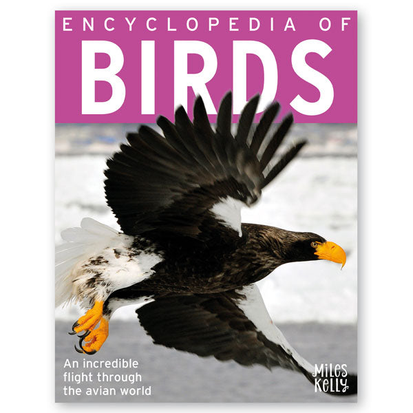 Encyclopedia Of Birds - 