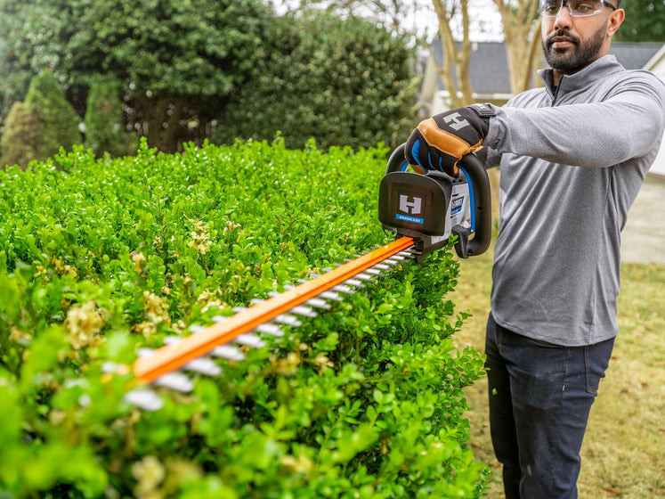 40V Brushless Hedge Trimmer Kit