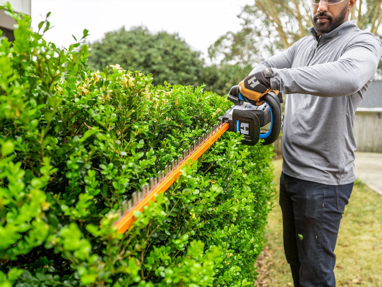 40V Brushless Hedge Trimmer Kit