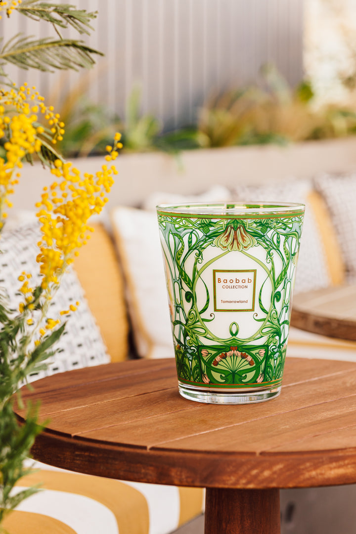 Baobab Collection - Luxury Scented Candles Home Fragrances – Collection