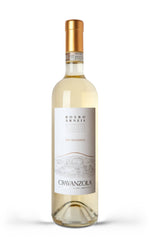 Roero Arneis San Francesco DOCG 2021 - Cravanzola