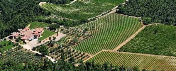 Fattoria La Lecciaia dall'alto