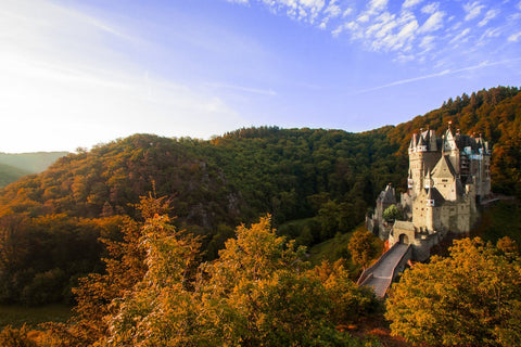 château fort sur une colline au milieu de la forêt dot-drops