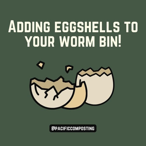 Adding Eggshells to Your Worm Bin