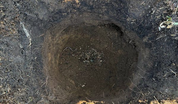 Hole for DIY In-Ground Worm Composter
