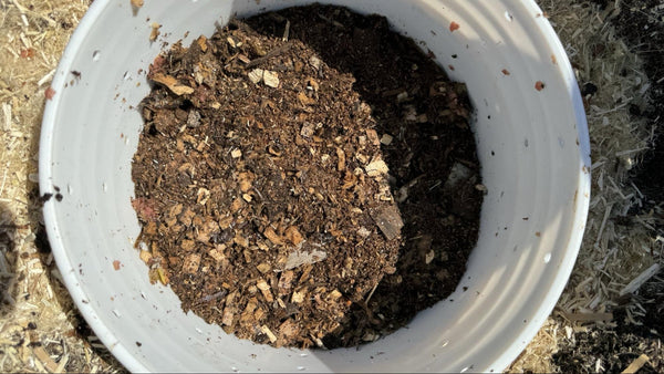 https://pacificcomposting.ca/blogs/layered-composting/what-is-living-material