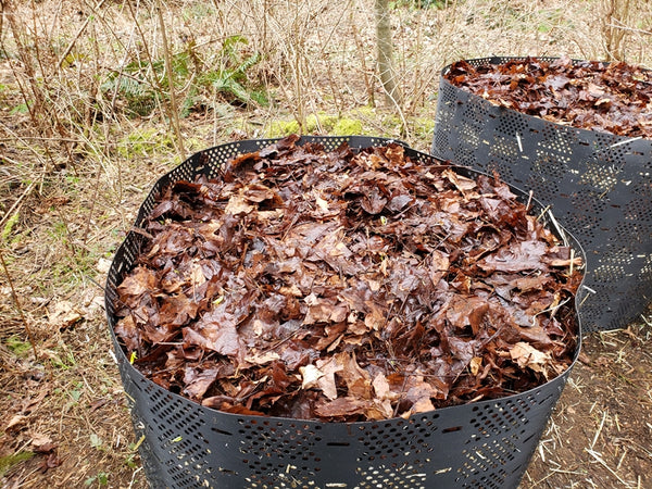 Leaves in a GeoBin composting system