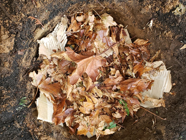 Setting up your geobin backyard composting bin