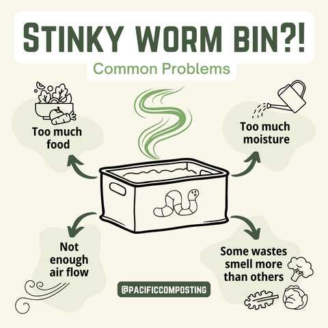 Stinky Worm Bin Common Problems
