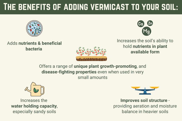 The benefits of adding vermicast to your soil
