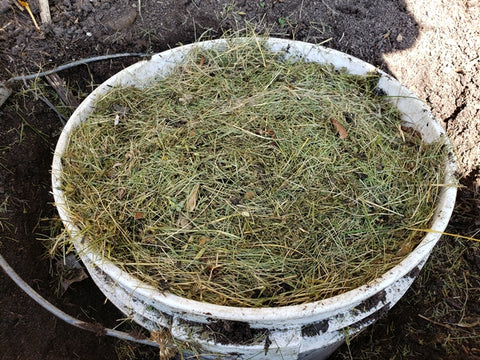 In Ground Worm Composting With a Bucket