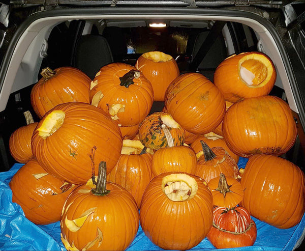 Pumpkins collected in the back of a van.