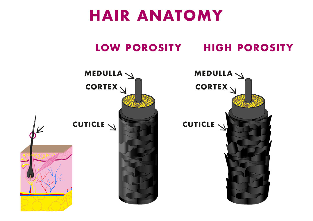 Common mistakes people make when trying to moisturize low porosity hair include