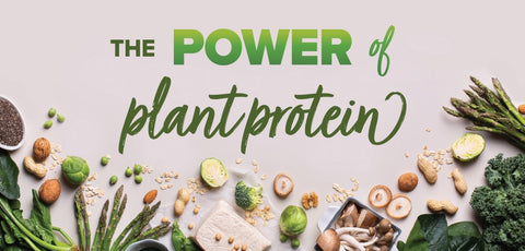 Harness The Power Of Plant Proteins – Nutrition House Canada