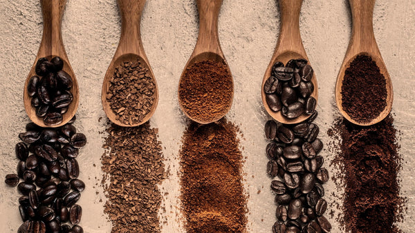 Different type of coffee beans