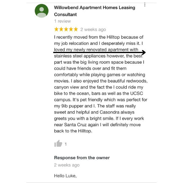 fake possitive review on google maps