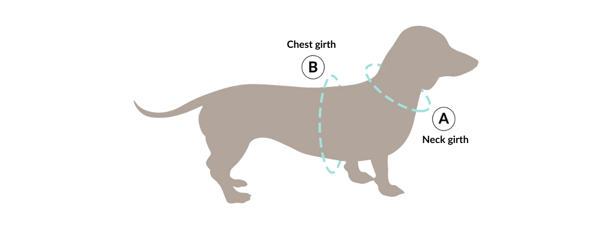 How to Measure Your Dog for Boogs & Boop Products