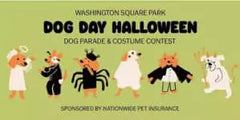Washington Square Park Dog Run Dog Day Halloween