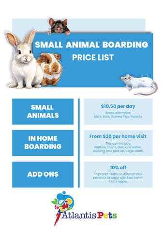 Small Animal boarding paper work