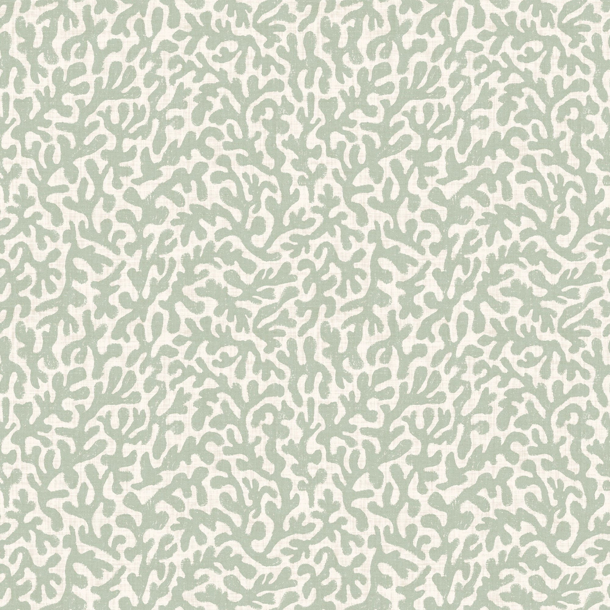 Petite Coral Cove Wallpaper in Sage and Cream