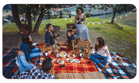 Indispensables para un picnic ideal