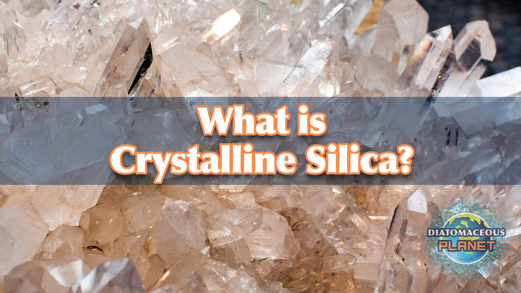 Diatomaceous Earth and Crystalline Silica